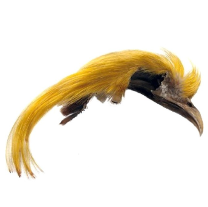 Grzebień bażant złocisty Golden Pheasant Topping Crest